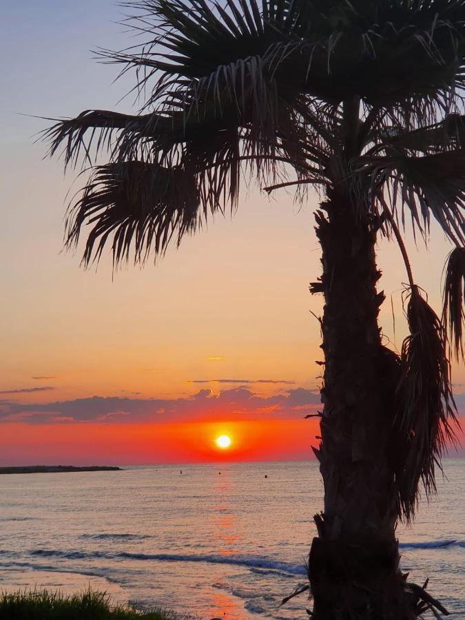 Gemuetliche Ferienwohnung In Torrevieja Ca100M Vom Strand Playa Del Cura Entfernt Екстериор снимка