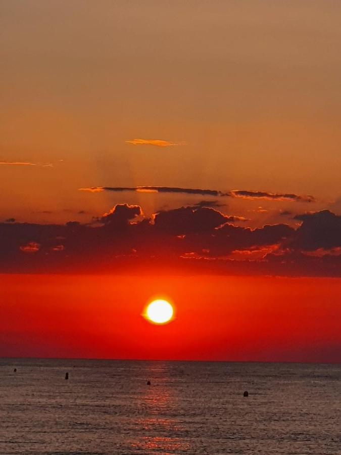 Gemuetliche Ferienwohnung In Torrevieja Ca100M Vom Strand Playa Del Cura Entfernt Екстериор снимка